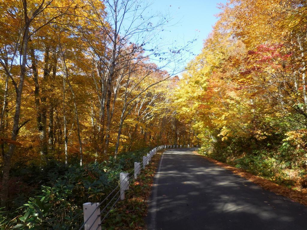 Shiga Park Hotel Yamanouchi  Bagian luar foto