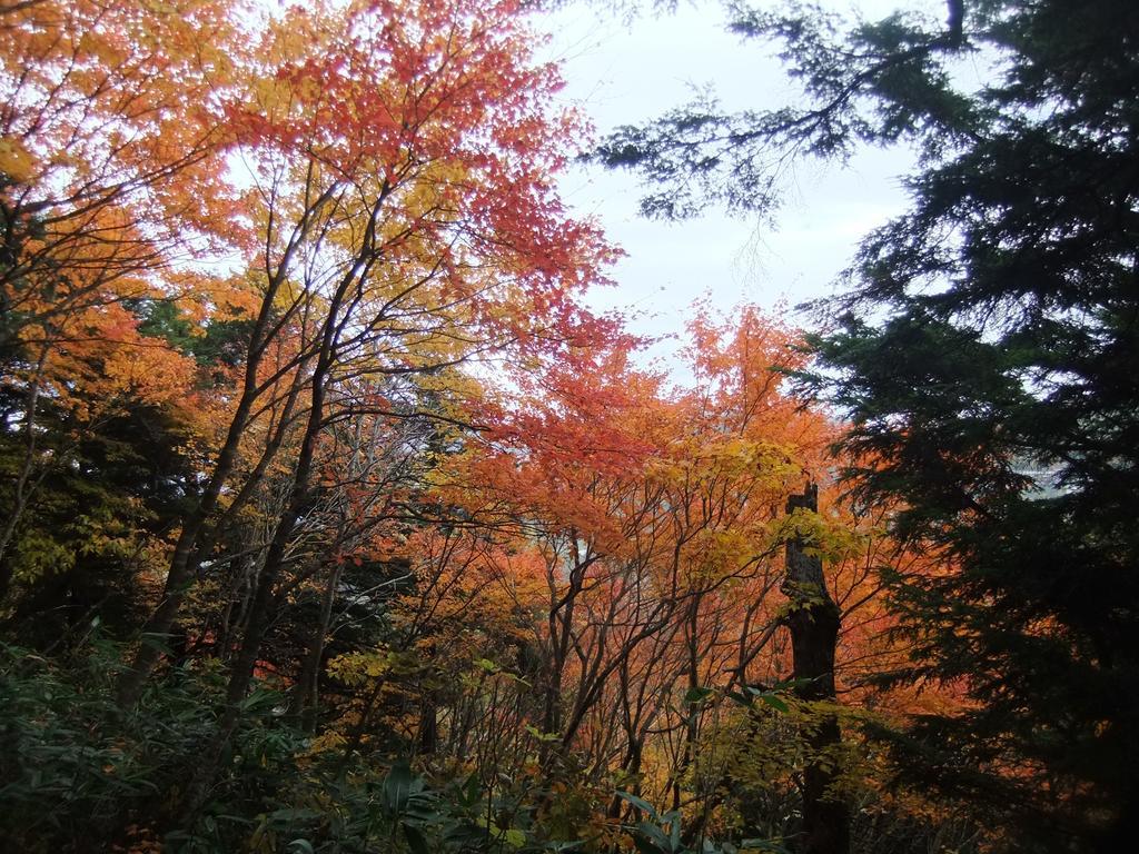 Shiga Park Hotel Yamanouchi  Bagian luar foto