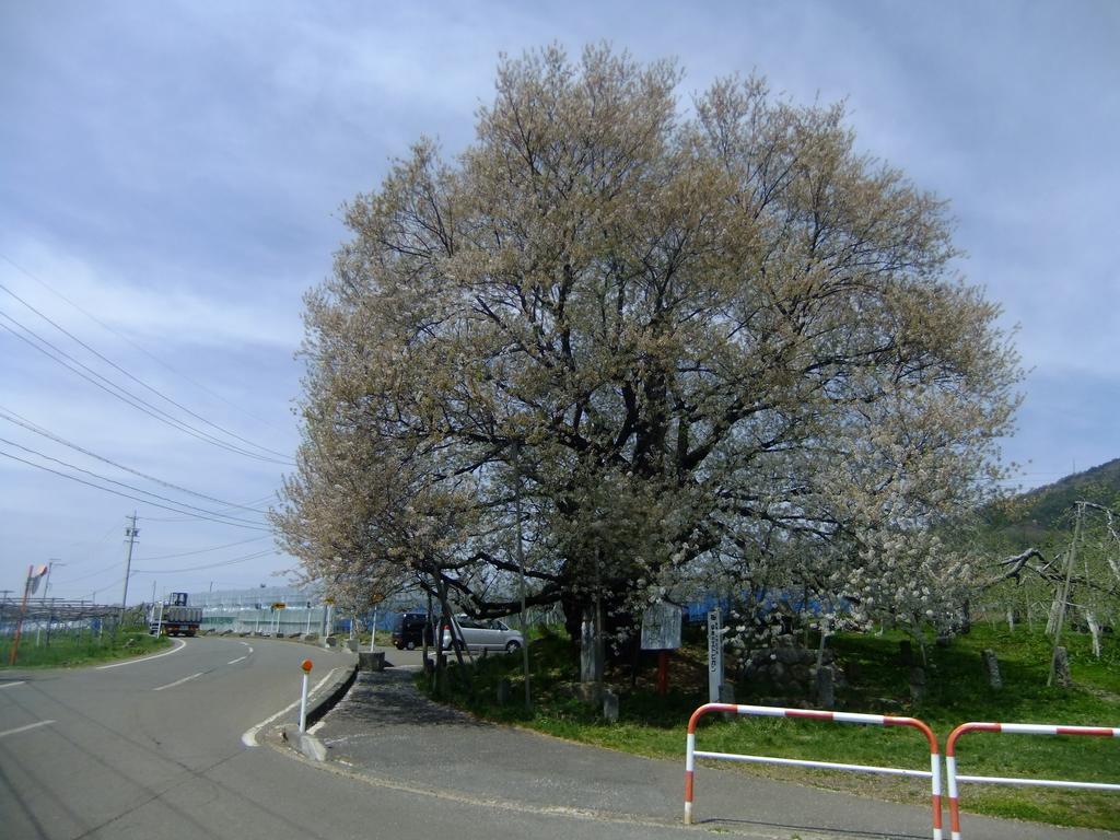 Shiga Park Hotel Yamanouchi  Bagian luar foto