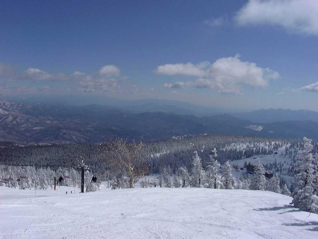 Shiga Park Hotel Yamanouchi  Bagian luar foto